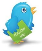 Usando o Twitter para sua Empresa